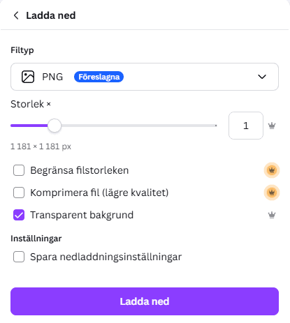 10x10 logga canva inställningar